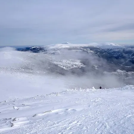 Отель Hvezda 3*