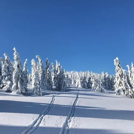 Hvezda Pec pod Sněžkou