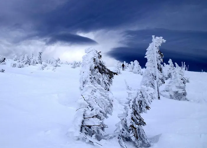 Hvezda 3* Pec pod Snezkou